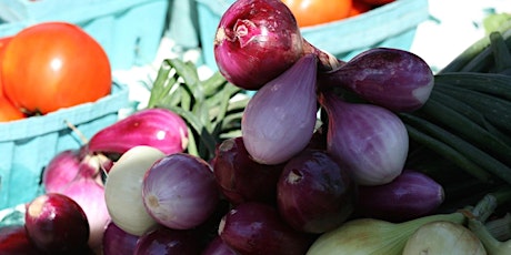 Explore the Garden Family Night: Simple Cold Frames primary image