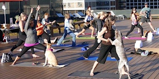 Office Yoga & Corporate Wellness San Francisco primary image