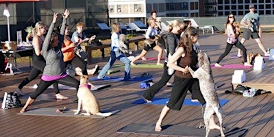 Imagem principal do evento Office Yoga & Corporate Wellness San Francisco