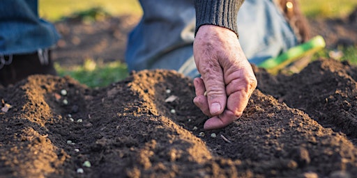 Imagem principal de Seed Saving 101 Workshop – Newcastle Seed Library