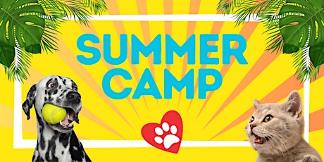 Summer Camp (Ages 6 - 8)