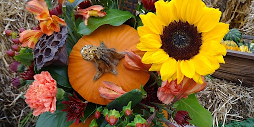Pumpkin Floral Arrangement primary image