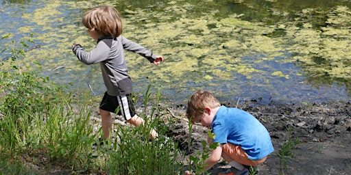 Let's Play! Summer Nature Exploration  primärbild