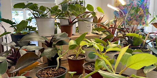 Primaire afbeelding van Spring Plant Swap!