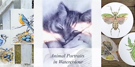 Animal Portraits in Watercolour Adult Class