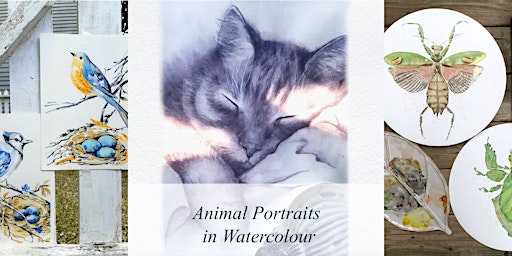 Primaire afbeelding van Animal Portraits in Watercolour Adult Class