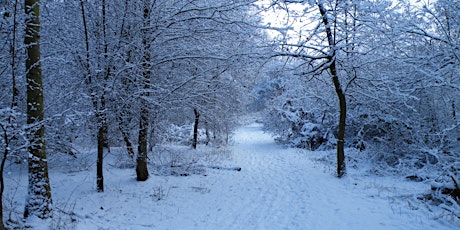 Snow and Soup Walk at Hartshill Hayes Country Park primary image