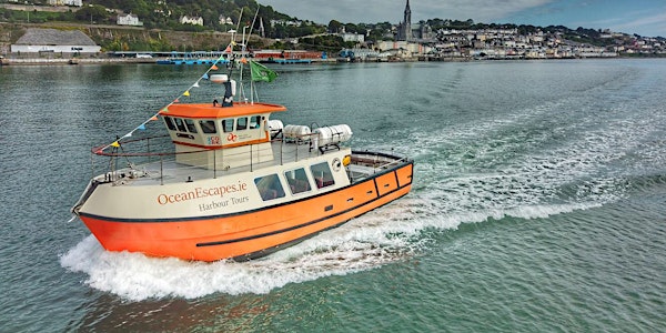 Cork harbour trip with live band & BBQ after