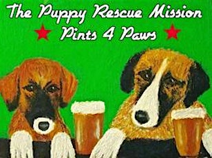 Pints 4 Paws primary image