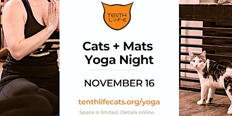 Primaire afbeelding van Cats N' Mats Yoga Night -  November 2023