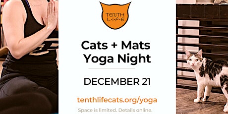 Imagem principal de Cats N' Mats Yoga Night -  December 2023