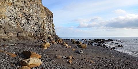 Imagem principal do evento RESCHEDULED: Deepgrove Wyke, Yorkshire Coast: Ammonites and Aptychi