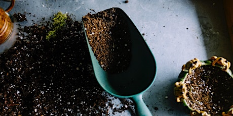 Organic Gardening - Soil Basics primary image