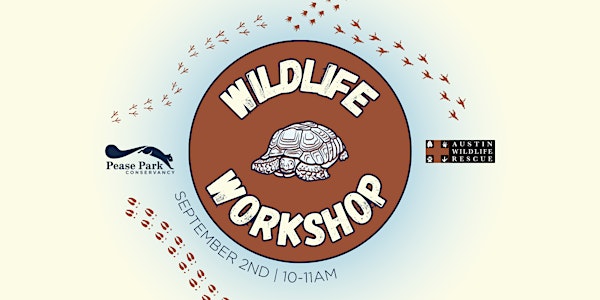 Wildlife Workshop with Austin Wildlife Rescue