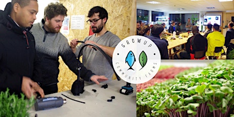 Practical aquaponics training: how to build your own system primary image