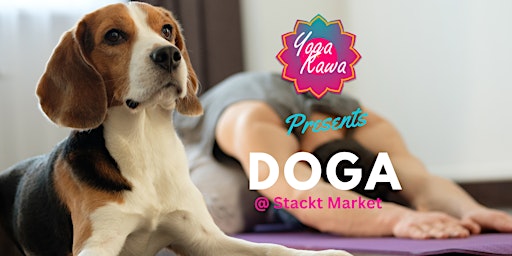Dog-Friendly Yoga (Doga) Toronto by Yoga Kawa X Stackt Market primary image