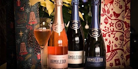 Make your Own Sparkling Wine for Christmas  primary image