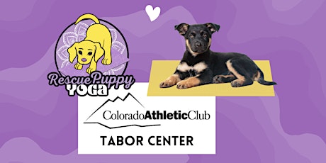 Hauptbild für Rescue Puppy Yoga @ Colorado Athletic Club Tabor Center