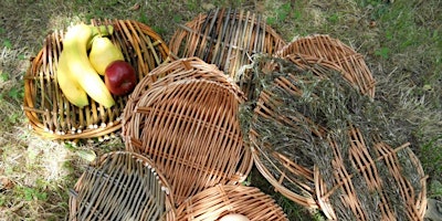 Willow Bowls & Platters