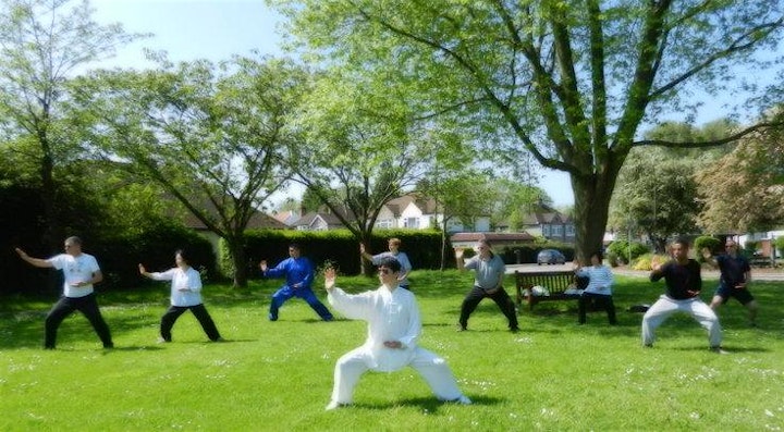 Tai Chi with Master of 40-year Experience image