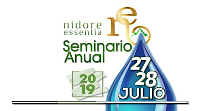 Imagen principal de Seminario Anual NE - 2019