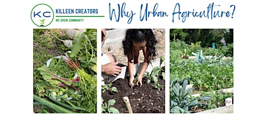 Hauptbild für Why Urban Agriculture?