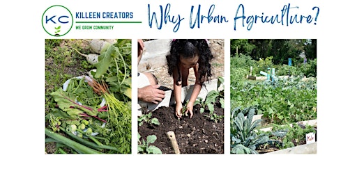 Imagem principal do evento Why Urban Agriculture?