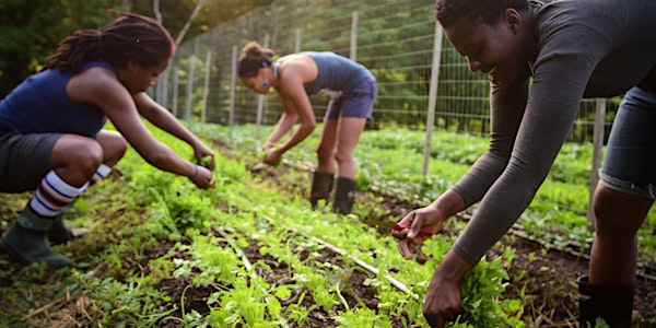 Farming While Black: Uprooting Racism, Seeding Sovereignty 