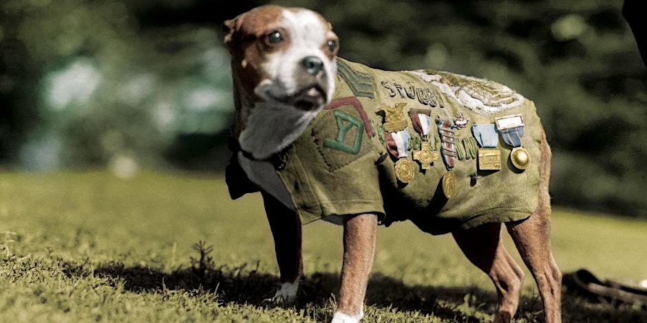 Pet Friendly War Dog Memorial March