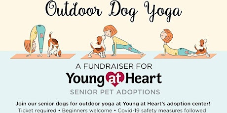 Outdoor Dog Yoga primary image