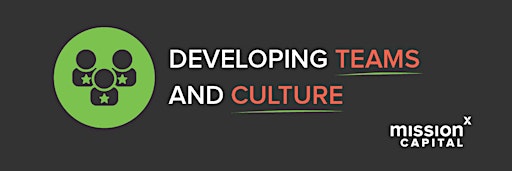 Imagem da coleção para Developing Teams and Culture