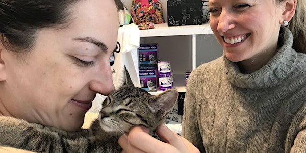 Treating Cats with a new CATitude! Cat Friendly Practices
