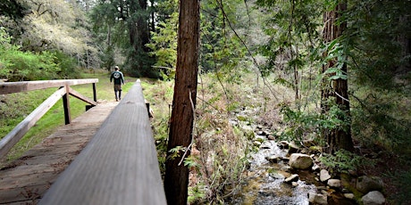 Big Sur Land Trust 'Birds and Blooms' walk at San Jose Creek