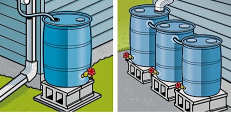 Rain Barrels & Water Conservation for the Home primary image