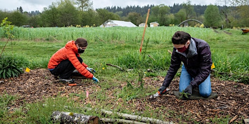 Image principale de Volunteer at 21 Acres: Farm Stewardship