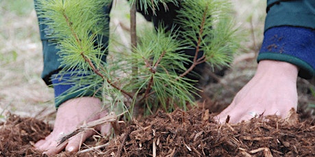 Tree Planting and Forest Management Landowner Workshop - Kemptville primary image