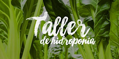 Imagen principal de Taller de Hidroponia