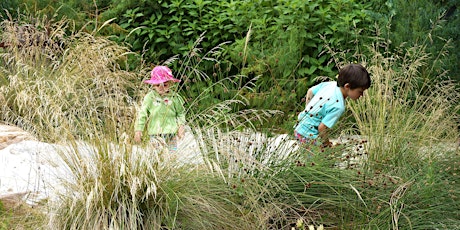 NATURE PLAY IN SCHOOLS primary image