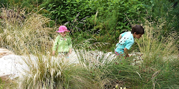 NATURE PLAY IN SCHOOLS