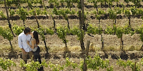 Imagen principal de Enamorte en el Valle de Guadalupe 