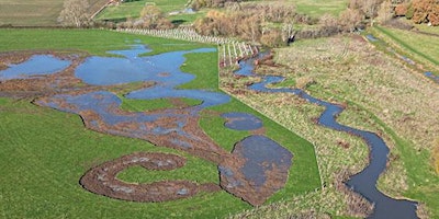 Poetry of Wetland Plants and their Landscape primary image