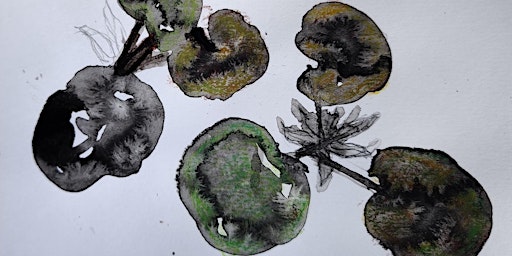 Art and Wetland Plants at Cutteslowe Meadows primary image