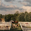Logótipo de Arranmore Farm + Polo Club
