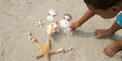 Let's Play! Sandcastles and Seagulls primary image