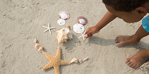 Let's Play! Sandcastles and Seagulls  primärbild