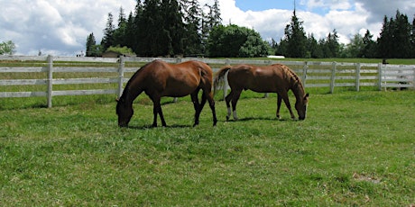 Spring Pastures and Nutrition - Workshop and Farm Tour primary image