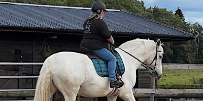 Primaire afbeelding van The Equestrian Mind Body and  Soul, Rider/Training Clinic