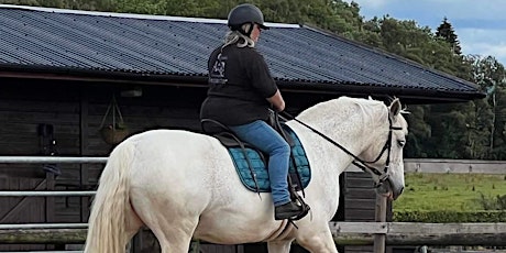 The Equestrian Mind Body and  Soul, Rider/Training Clinic