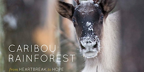 From Heartbreak to Hope: Experience the World of Caribou