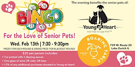 BINGO - For The Love Of Senior Pets  primary image